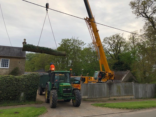 removal of timber with crane.